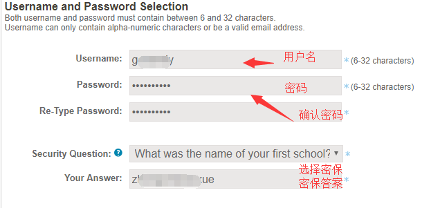 填写用户名、密码、密保等问题