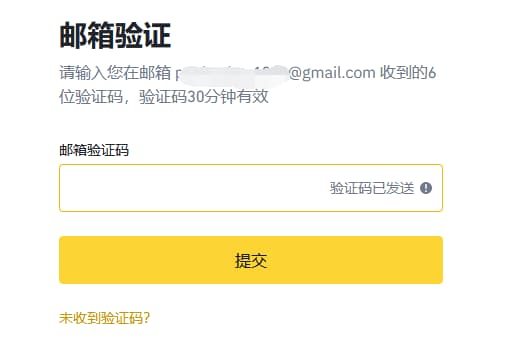 需要进行邮箱验证，输入验证码